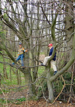 Jan und Lisa im Baum