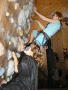 Wettmalspiel an der Boulderwand