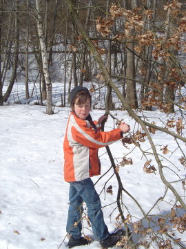 #13 so jung und schon soviel Kraft-der arme Baum..